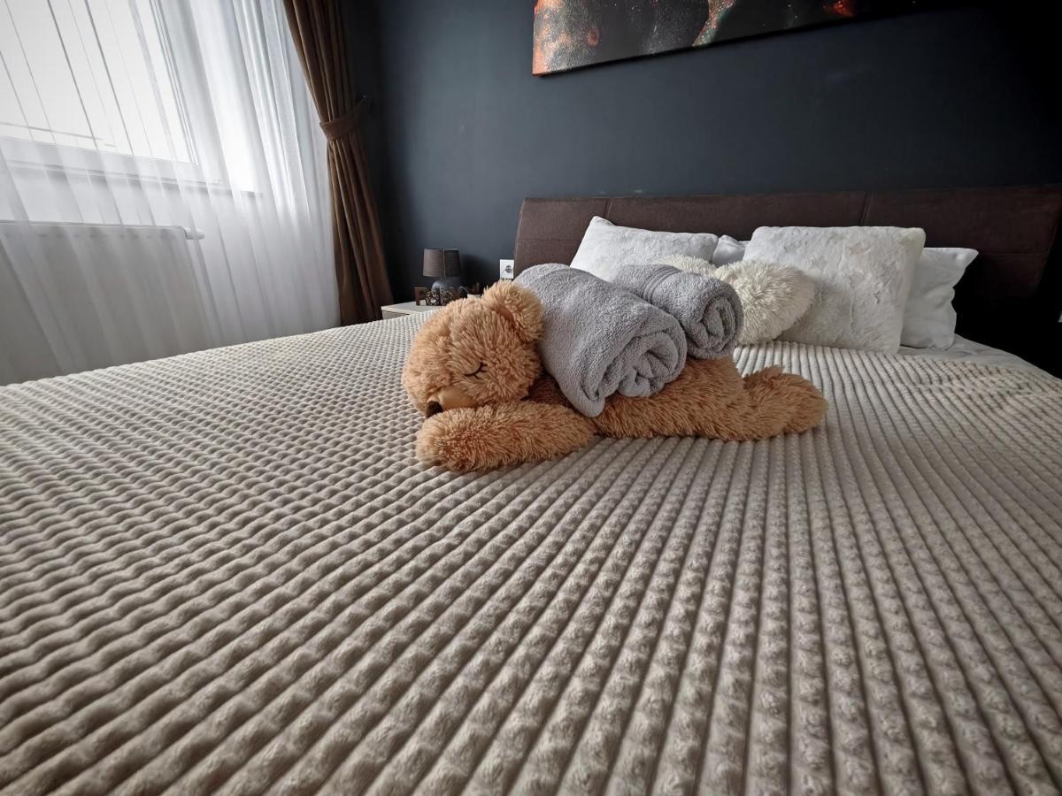 Luxurious Landing Apartment Брашов Екстер'єр фото